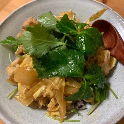 久しぶりの親子丼でしたが、美味しく出来ました。また作りたいと思います。